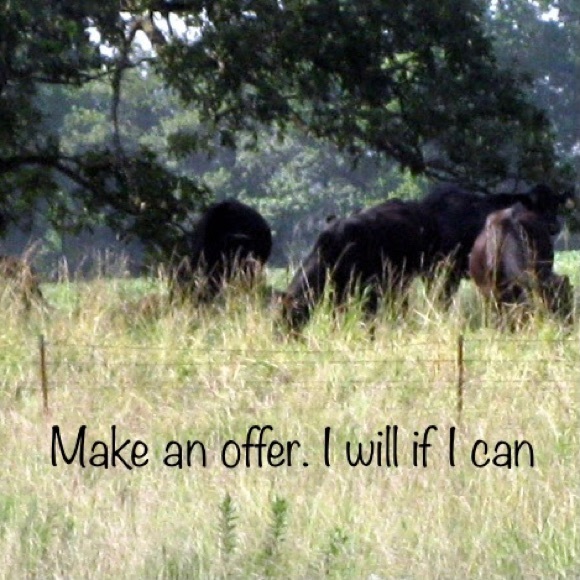 Meet your Posher Ms. Leigh - Picture 6 of 8